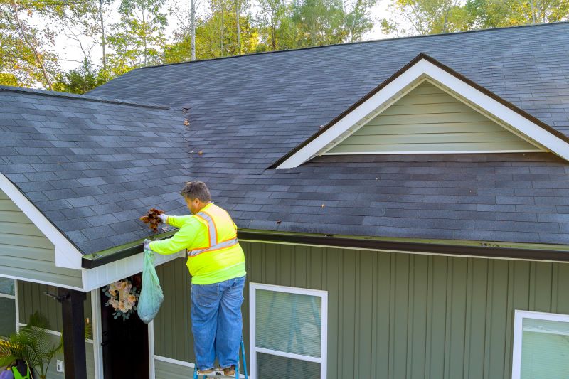 Gutter & Roof Maintenance